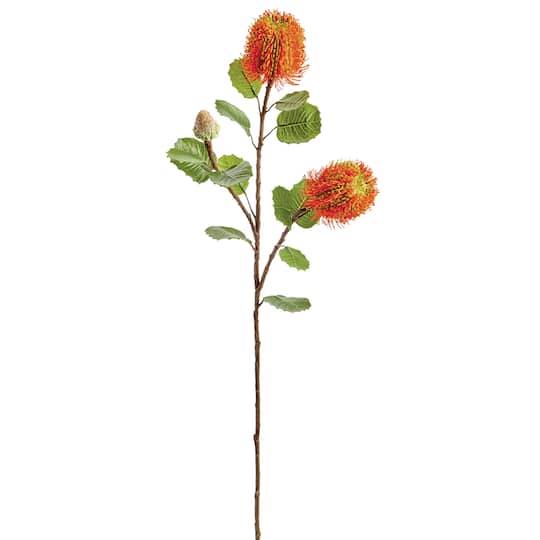 Orange Banksia Spray, 12ct.